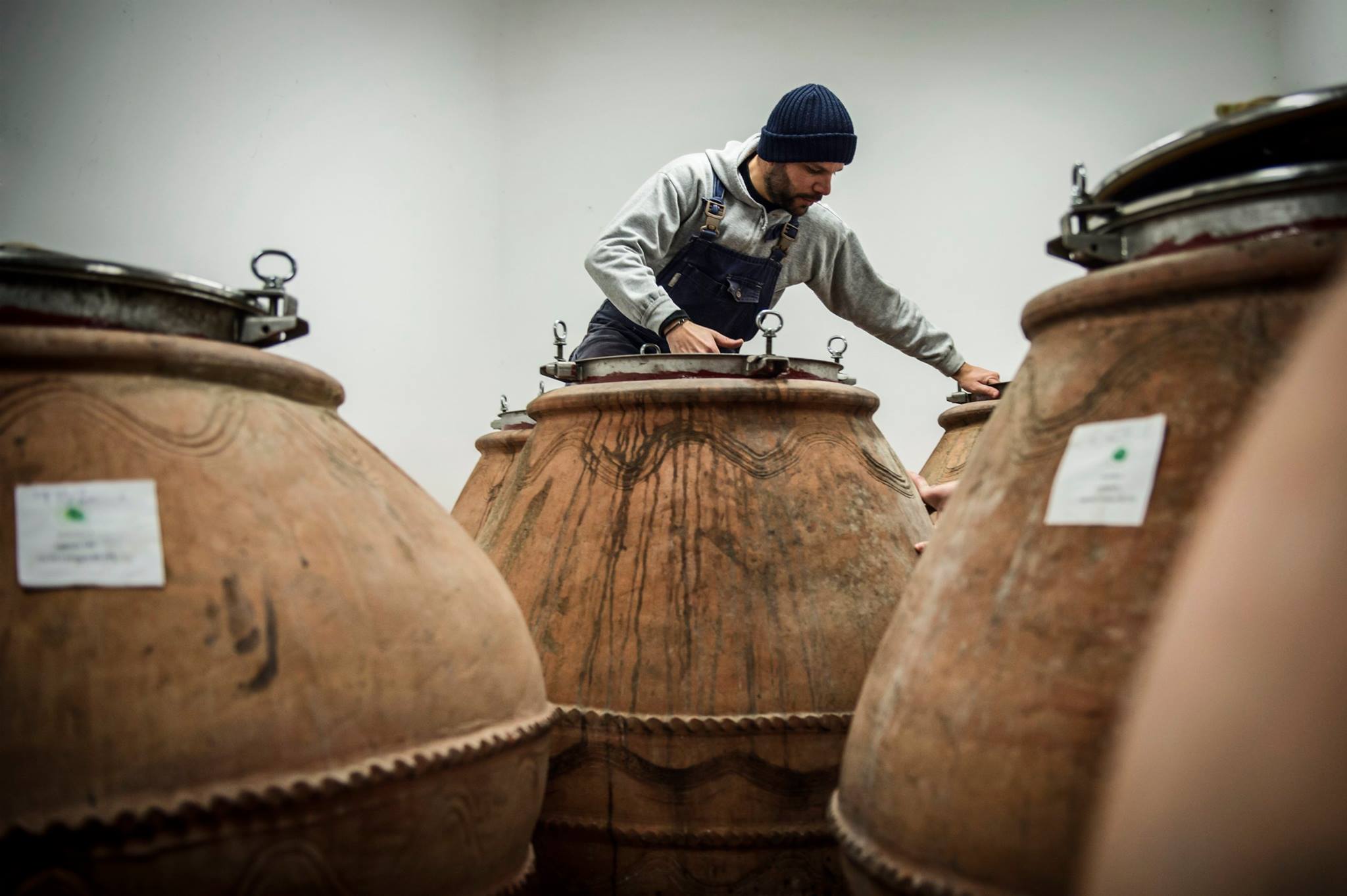 Shop All Wine – Page 16 – Folkways, image size:2048x1363