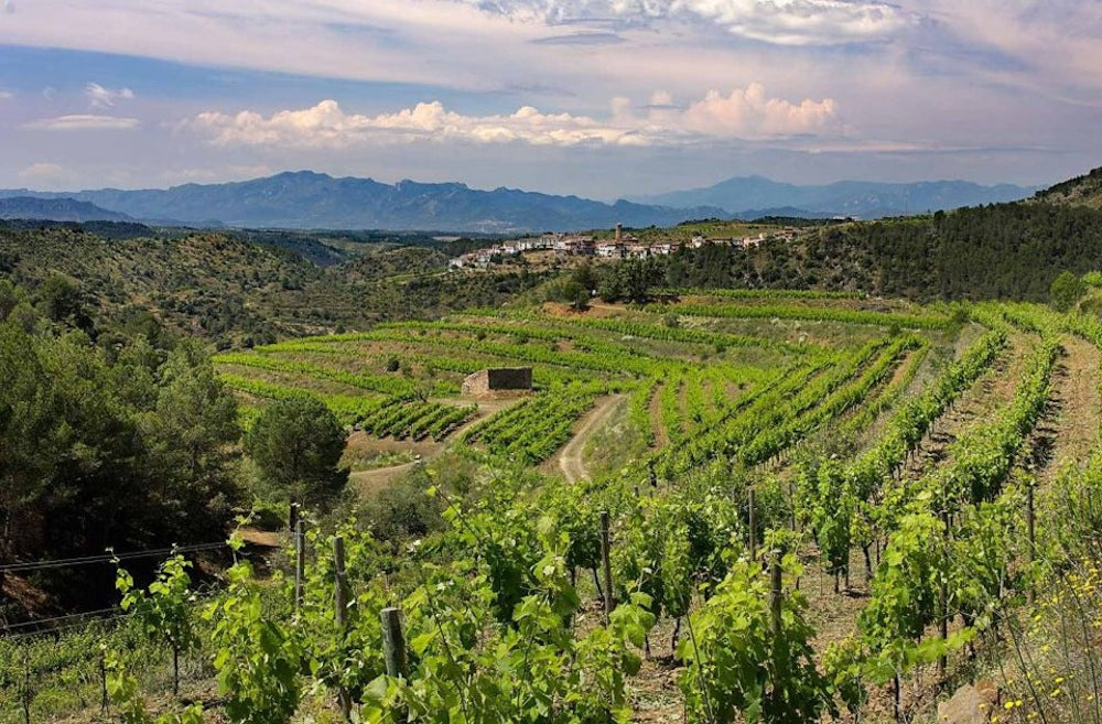 洋書 Port Wine Quinras of the Douro Porto Valdouro Tawny Port | Total Wine & More