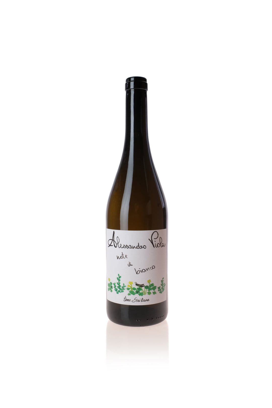 Alessandro Viola, Note di Bianco 2024