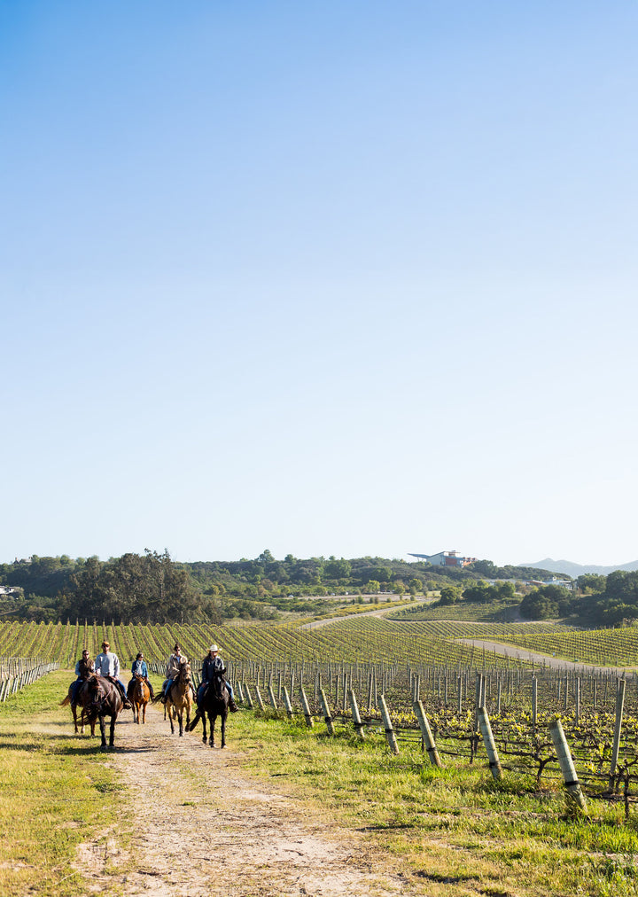 A Night with Presqu’ile Vineyards: Winemaker Dinner | Thursday, October 23