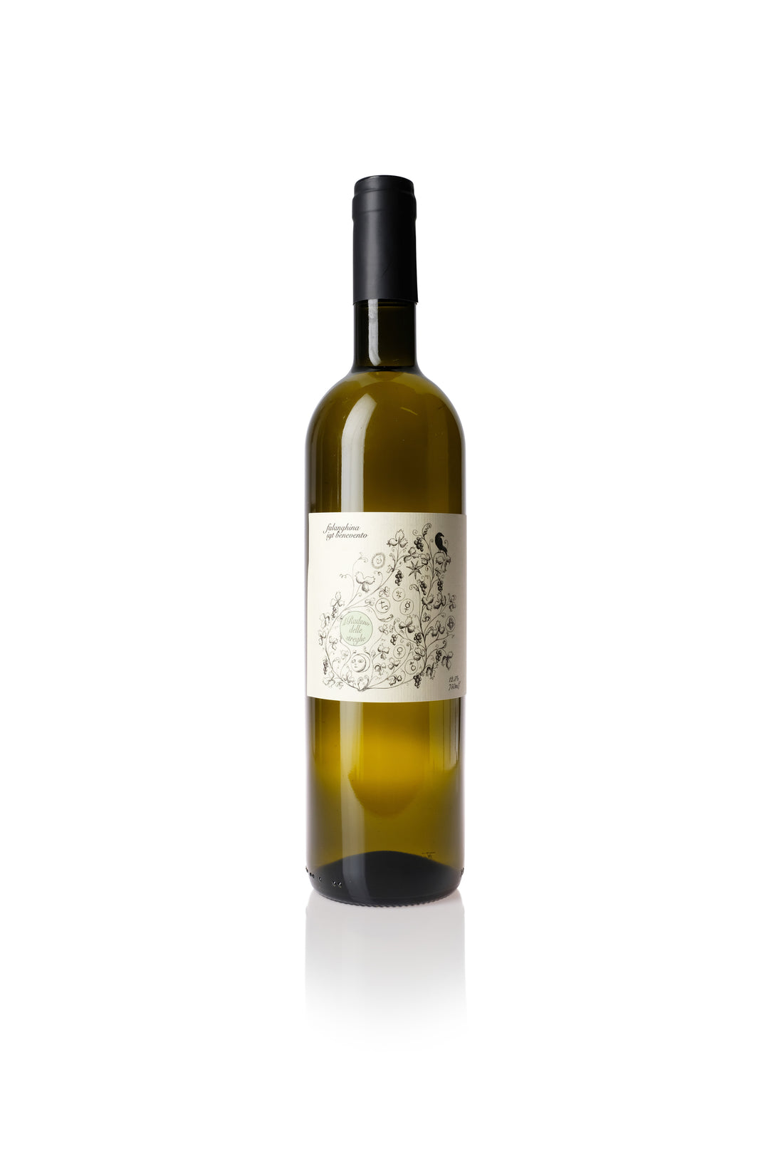 il Raduno Delle Streghe, Falanghina 2024
