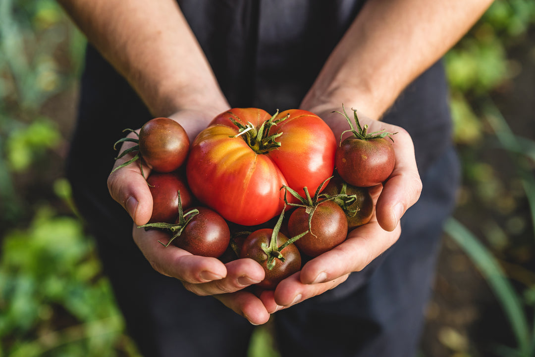 SUMMER TIME AT THE FARMERS’ MARKET: PRODUCE PAIRINGS