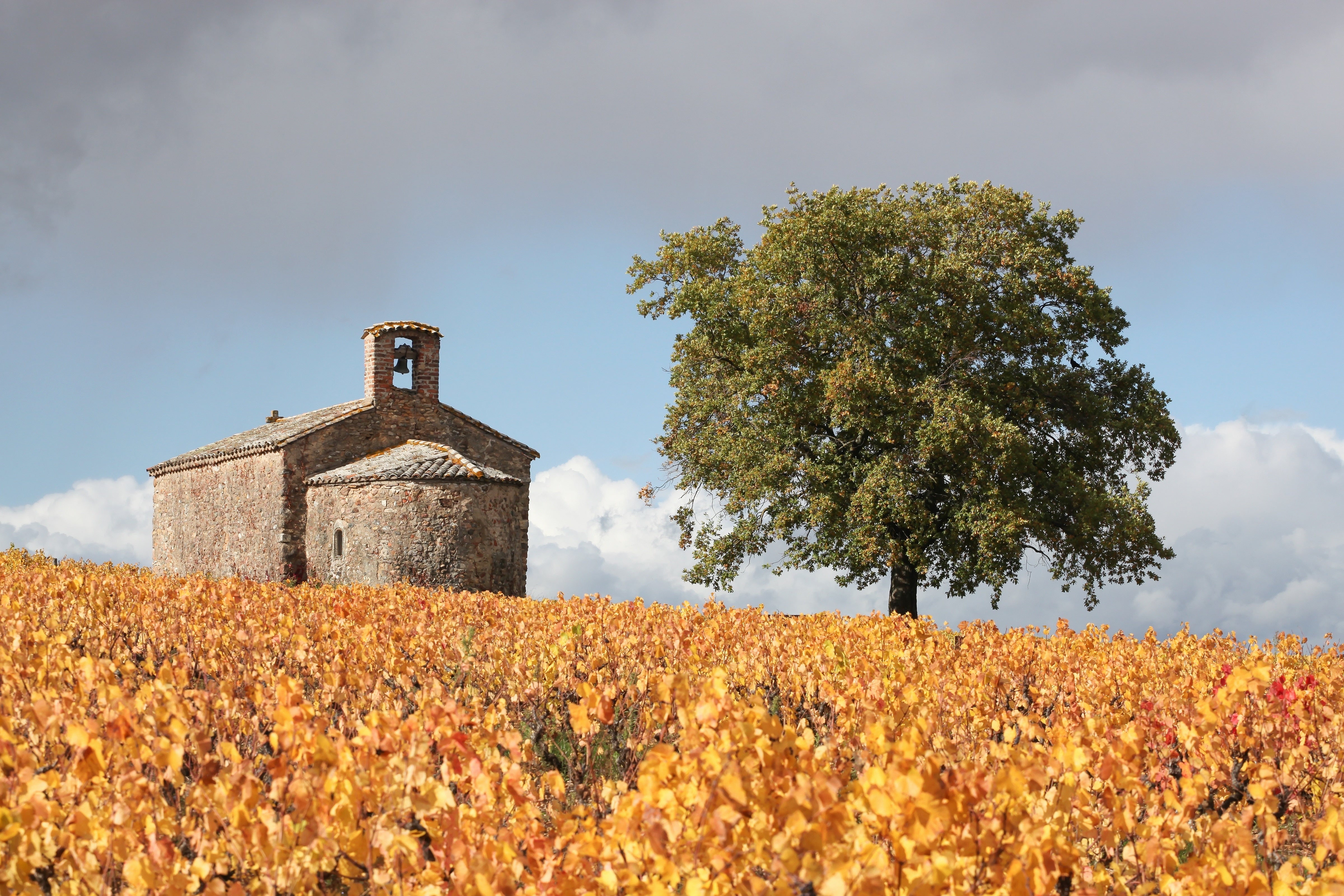 Beaujolais Fall