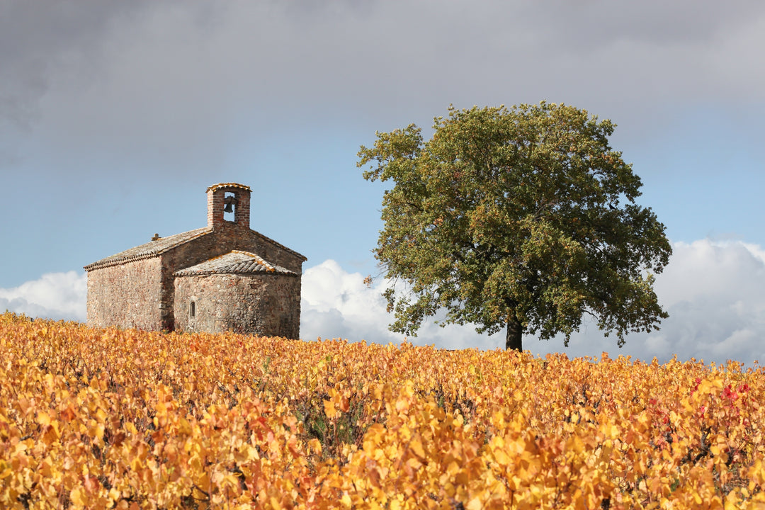 Beaujolais Fall