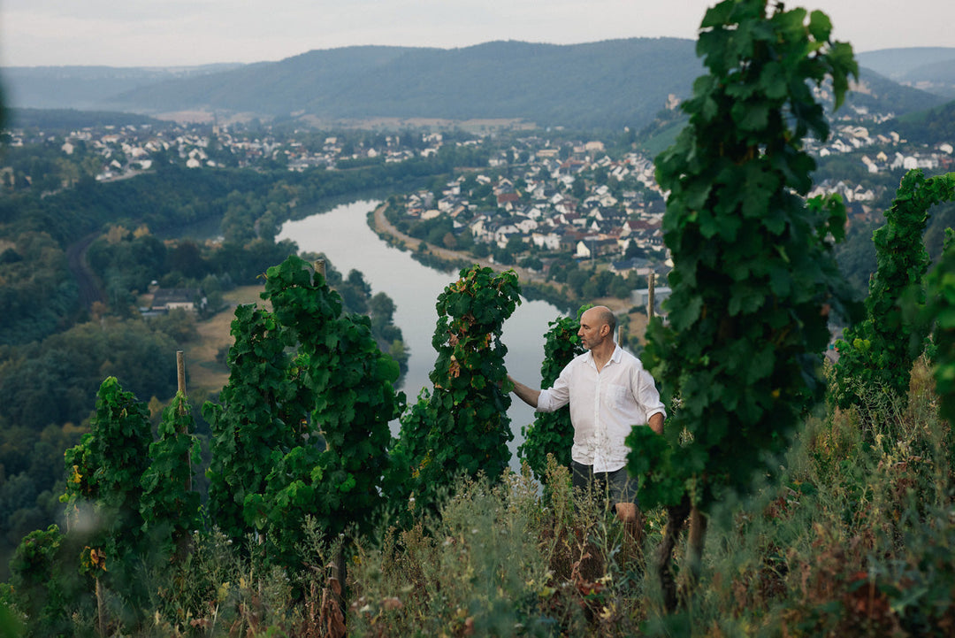 Peter Lauer Mosel Saar