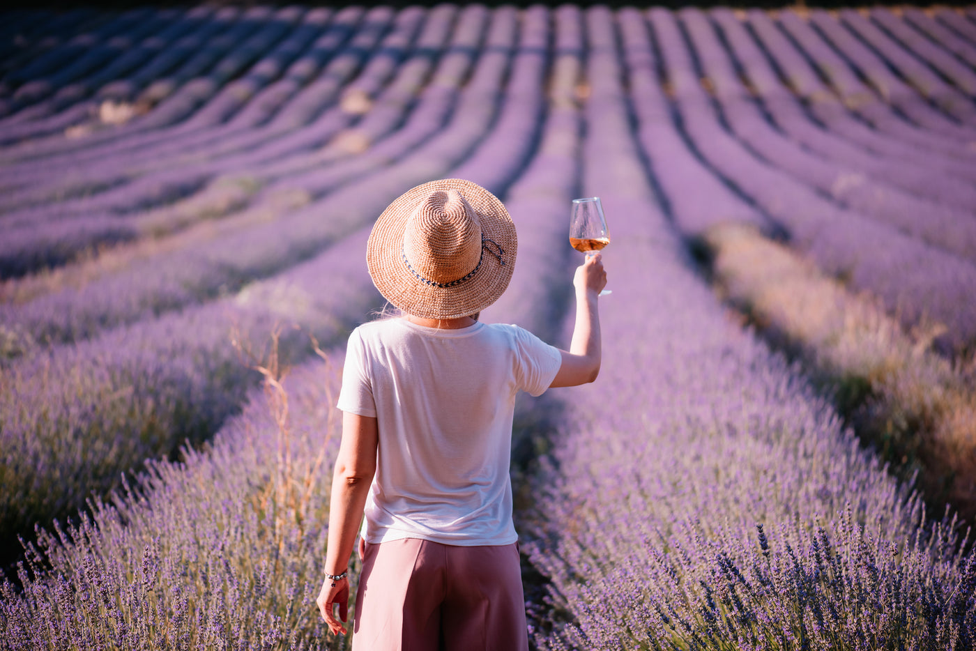 A PLUNGE INTO PROVENCE