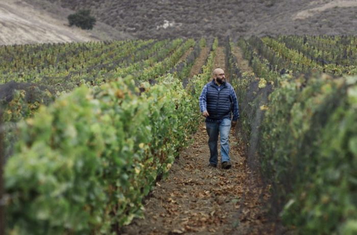 EVENING LAND VINEYARDS