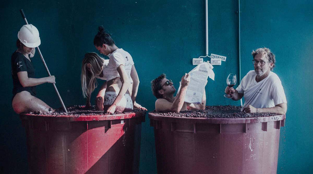 Wine Rebels: Making Wine Without Permission