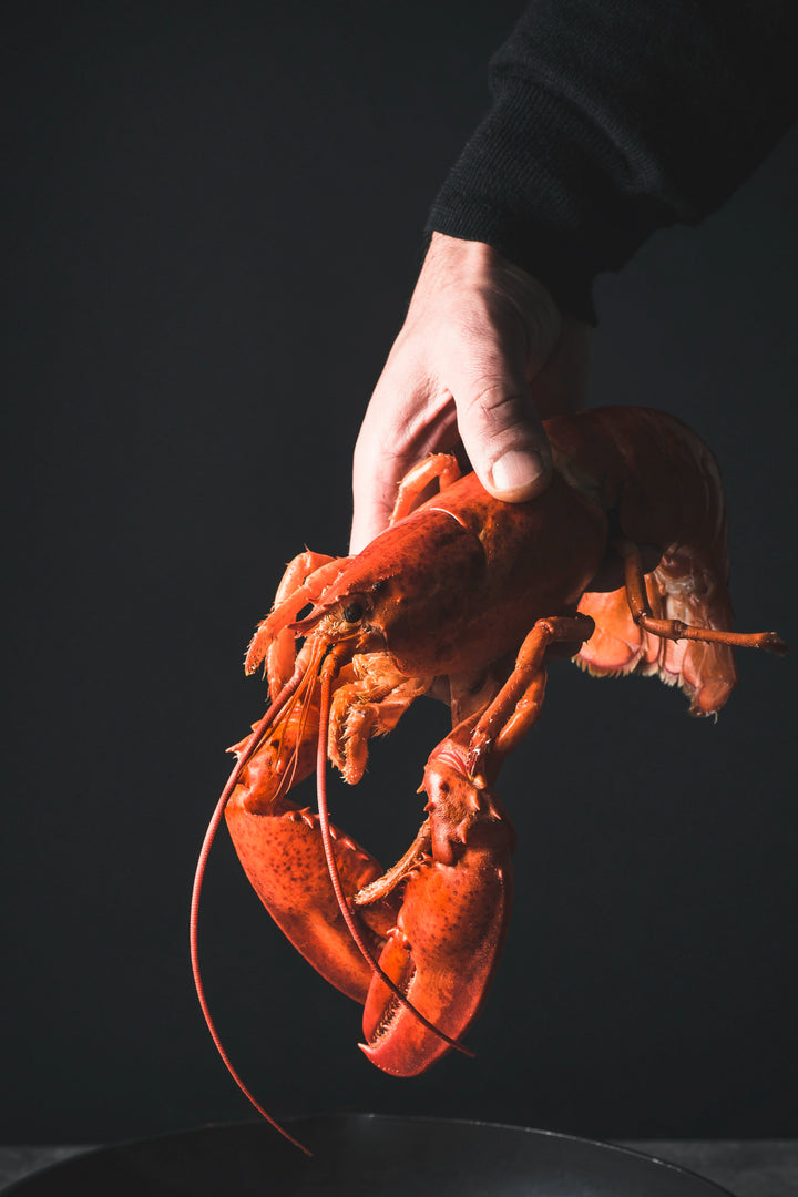 Cote de Beaune Blanc & Lobster Dinner | 3 Courses | 4 Wines | $120