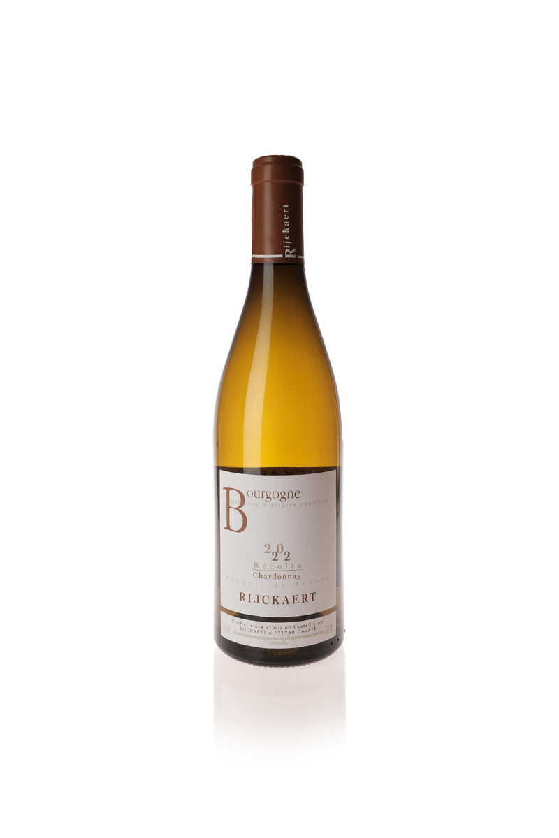 Rijckaert, Bourgogne Blanc 2022 – HART & CRU