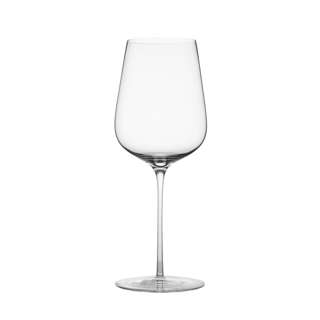 Glasvin Universal - 2 GLASS SET